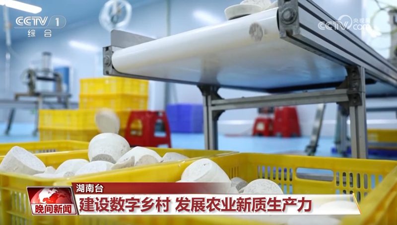 观两会 看发展丨新质生产力引领 中国经济发展“活力满满”(图4)