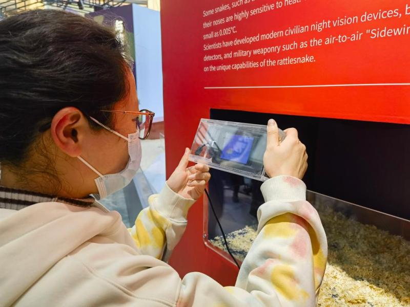 春节文旅热折射经济活力足(图2)