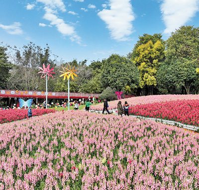 旅游过年释放消费新动能(图7) 旅游过年释放消费新动能(图7)