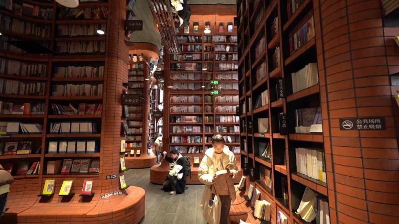 新华视点丨多点开花 经济发展活力足(图5)