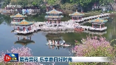 多领域多项指标释放积极信号 中国经济高质量发展阔步前行(图7)