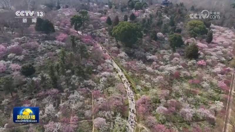 多领域齐头并进促发展 中国经济活力涌动开新局(图4)