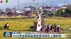 多领域多项指标释放积极信号 中国经济高质量发展阔步前行(图11)