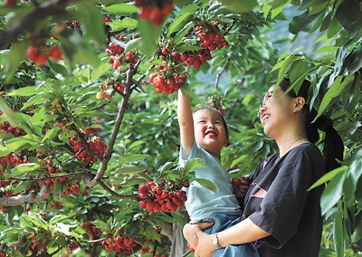 “五一”假期，消费市场持续升温(图1)