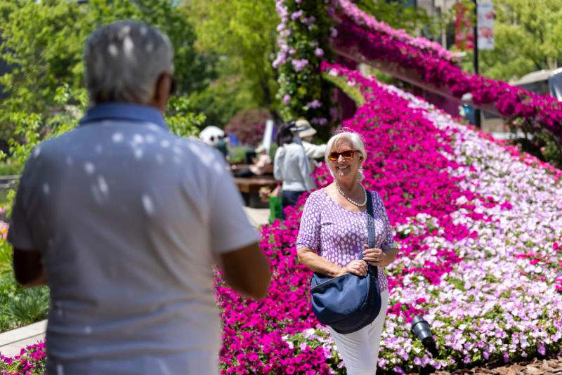 财经聚焦|让“蛋糕”越做越大——发展入境消费一线观察(图3)