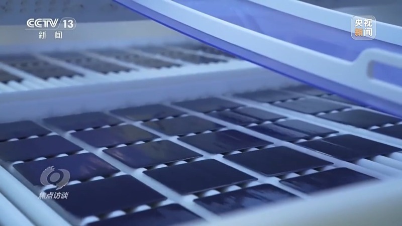 焦点访谈丨以高质量发展的确定性应对外部环境急剧变化的不确定性(图14)