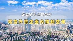 政策托举+电商助力 拓宽外贸企业内销新空间(图3)