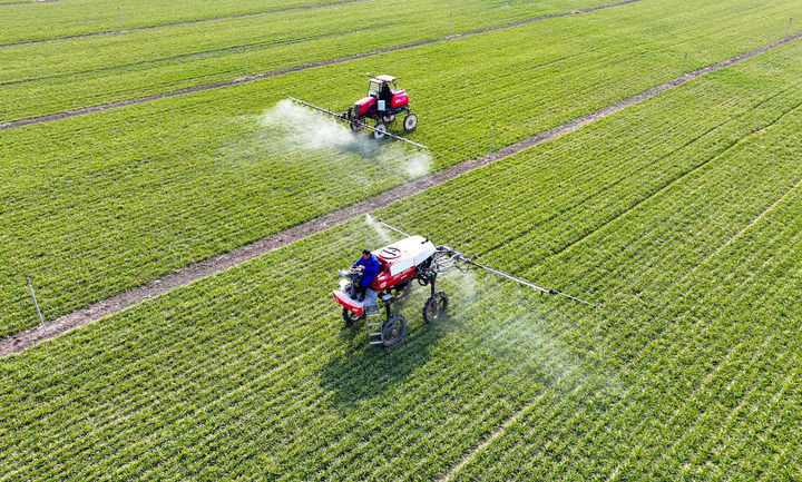 2025之春，聆听中国经济的奋进足音(图5)