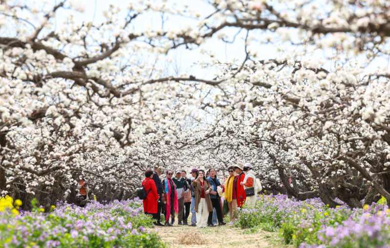 2025之春，聆听中国经济的奋进足音(图4)