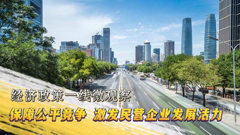 经济政策一线微观察丨保障公平竞争 激发民营企业发展活力(图6)