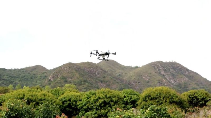 新华视点｜暑期消费“热”起来 多地业态创新点燃夏日经济引擎(图12)