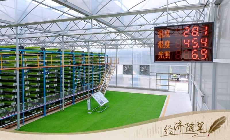 经济随笔丨从七个“更”读懂中国经济(图5)