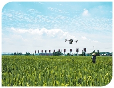 “三夏”里的新质生产力(图2)