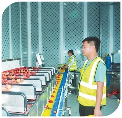 “三夏”里的新质生产力(图4)