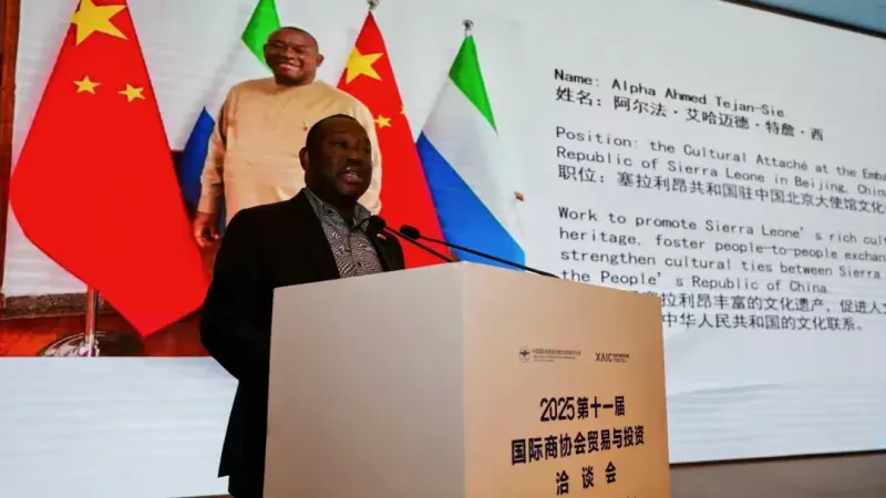 打造丝路经贸合作新高地——2025第十一届国际商协会贸易与投资洽谈会在西安启幕(图8)