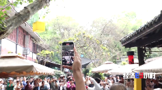 新消费催生新职业 年轻人解锁这些新赛道(图1)