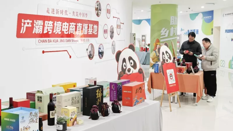 【西引力·新引擎】营商，赢商！(图4)