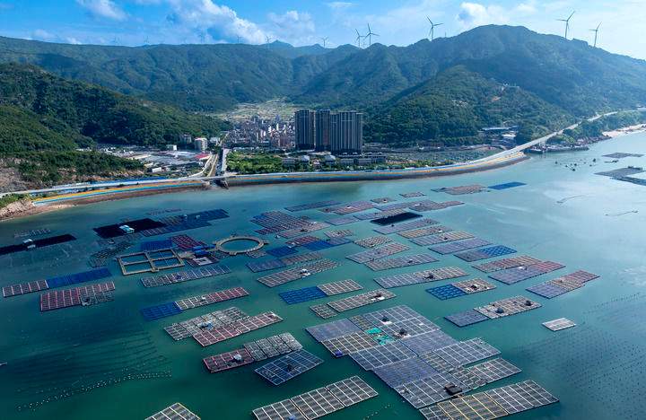 精耕深蓝,加快建设海洋强国——“中国经济圆桌会”聚焦海洋经济高质量发展(图13) 精耕深蓝,加快建设海洋强国——“中国经济圆桌会”聚焦海洋经济高质量发展(图13)