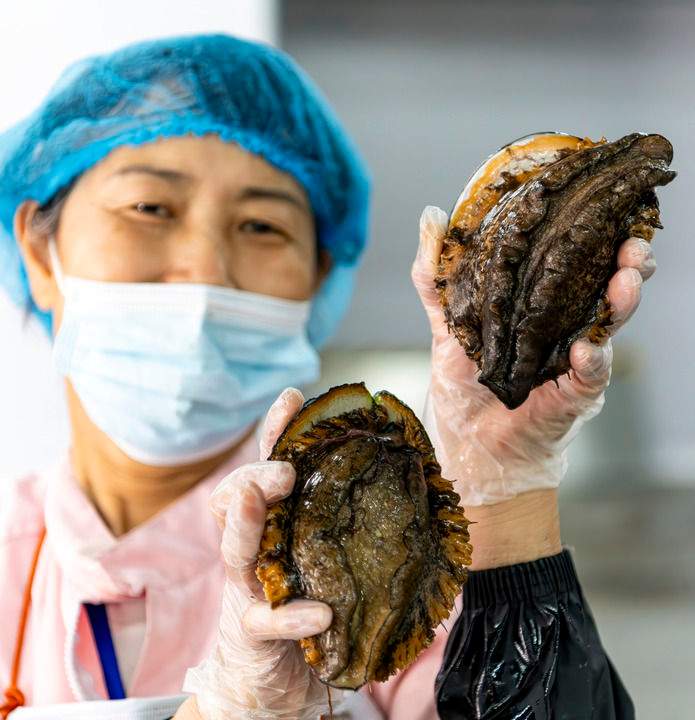 精耕深蓝,加快建设海洋强国——“中国经济圆桌会”聚焦海洋经济高质量发展(图14) 精耕深蓝,加快建设海洋强国——“中国经济圆桌会”聚焦海洋经济高质量发展(图14)