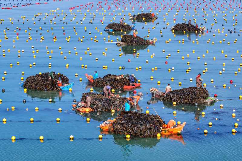 精耕深蓝,加快建设海洋强国——“中国经济圆桌会”聚焦海洋经济高质量发展(图15) 精耕深蓝,加快建设海洋强国——“中国经济圆桌会”聚焦海洋经济高质量发展(图15)