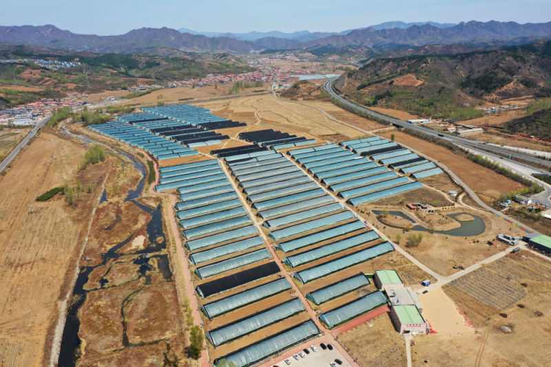 从太空看“十四五”｜乡村振兴万象新(图10)