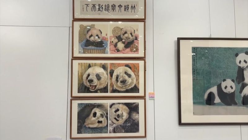 新华视点｜暑期文旅市场亮点纷呈：从清凉游到主题展 消费潜力持续释放(图10)