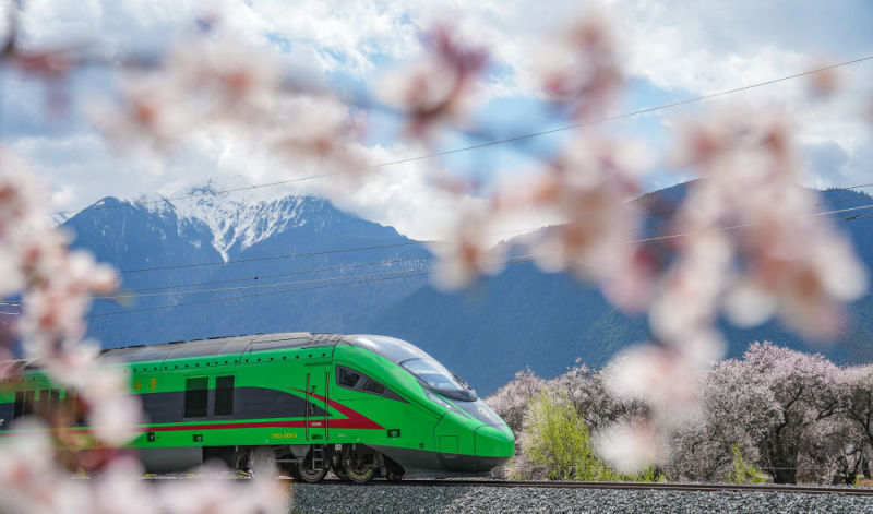 夯筑起应对复杂变局的坚实依托——中国加快建设全国统一大市场观察(图13) 夯筑起应对复杂变局的坚实依托——中国加快建设全国统一大市场观察(图13)