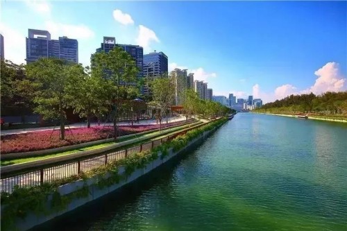 深圳:“双区”驱动 马力全开(图8) 深圳:“双区”驱动 马力全开(图8)