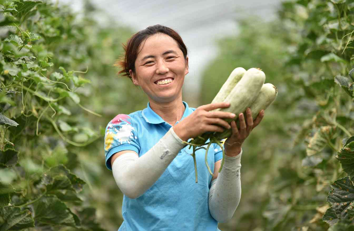 金融支持乡村振兴：农商行如何做？——专访金融支持乡村振兴研究院院长何世红(图1)