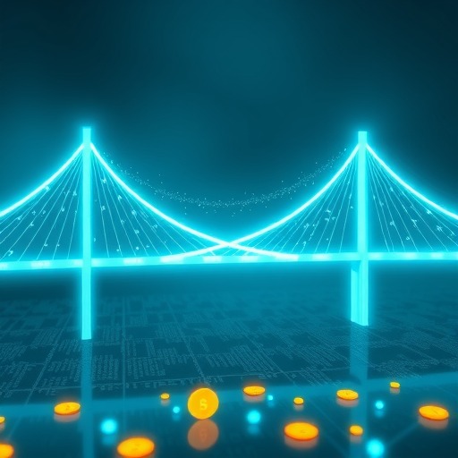 钱多多：网贷中信息中介的重要性