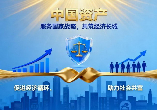 AMC中国资产全面对接良资数据 助力清理中国梦项目不良资产(图3)
